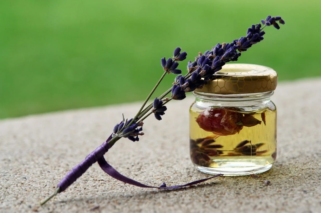 Best Lavender Essential Oils 2023 Reviews & Top Picks